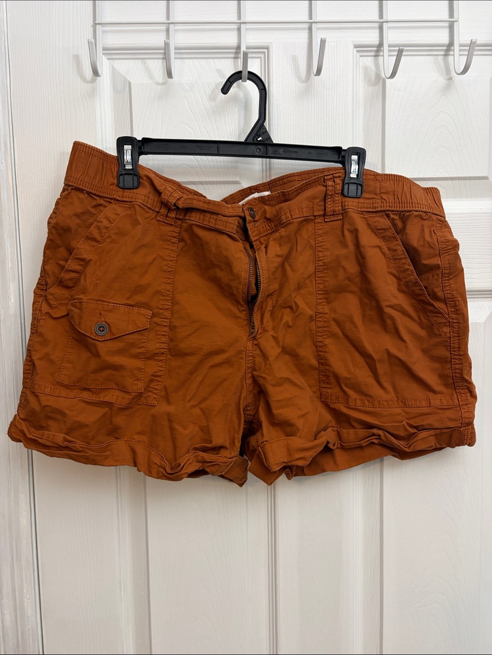 Time and Tru Brown-Rust Casual Women's Shorts